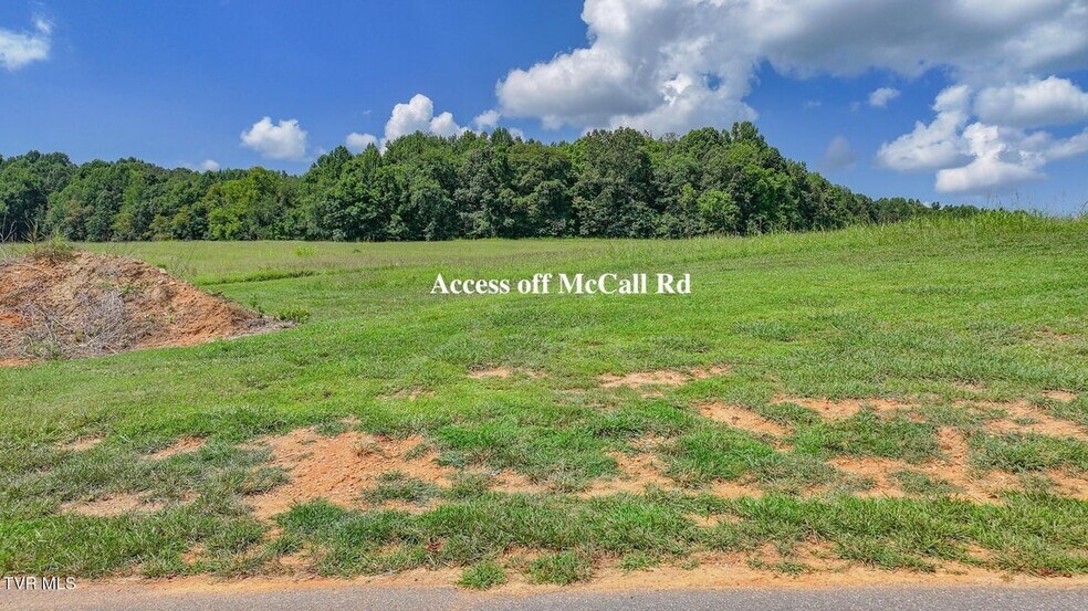 More Photos Of 170 McCall Rd, Limestone Land For Sale