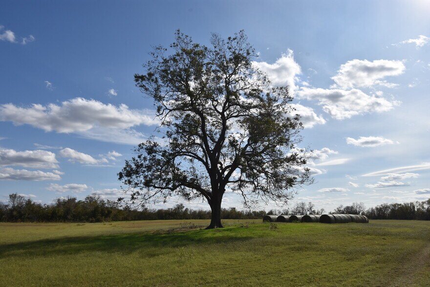 More Photos Of 201 County Road 224, Wharton Land For Sale
