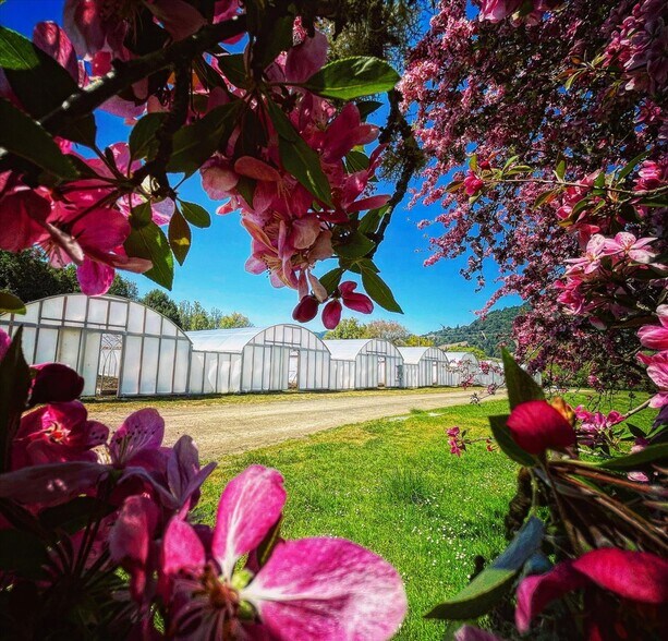 More Photos Of 220 Wilder Ridge rd, Honeydew Land For Sale