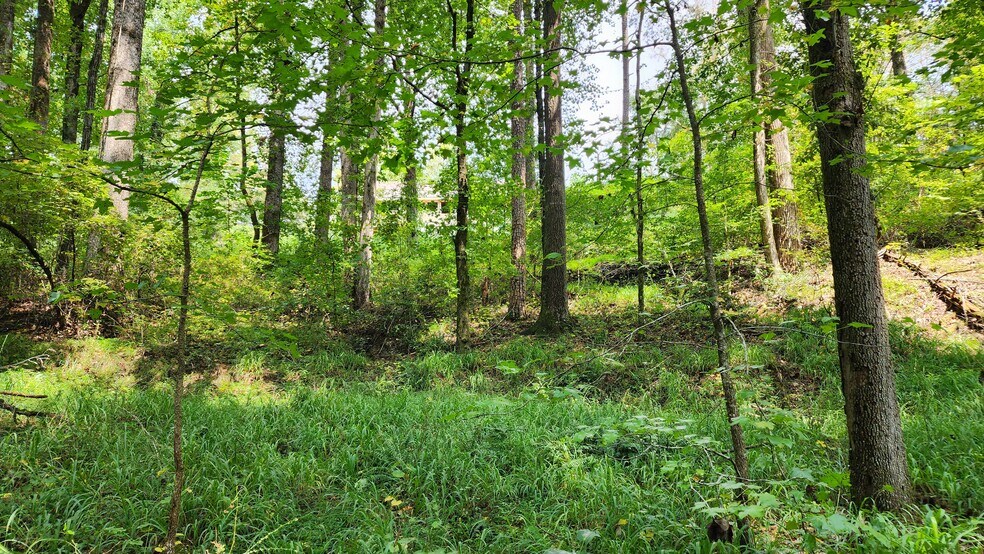 More Photos Of 1661 Friendship Rd, Hoschton Land For Sale
