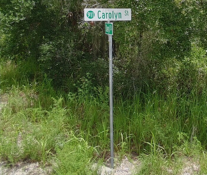 More Photos Of Carolyn St, Deltona Land For Sale