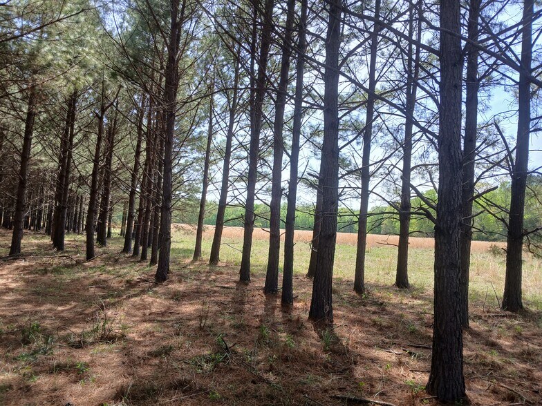 More Photos Of 414000 E 1920 Rd, Antlers Land For Sale