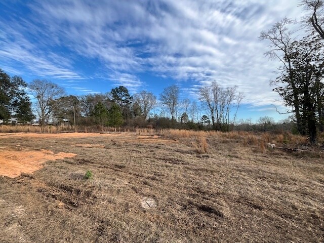 More Photos Of 52000 Block US-31 Hwy, Perdido Land For Sale