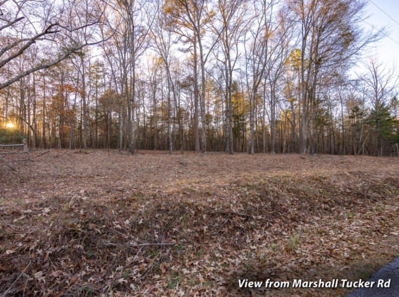 More Photos Of 0 Marshall Tucker Rd, Pauline Land For Sale