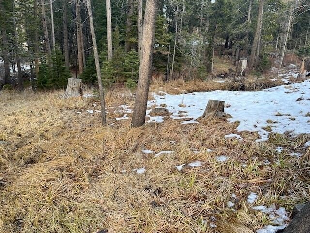 Primary Photo Of 799 Minaret Rd, June Lake Land For Sale