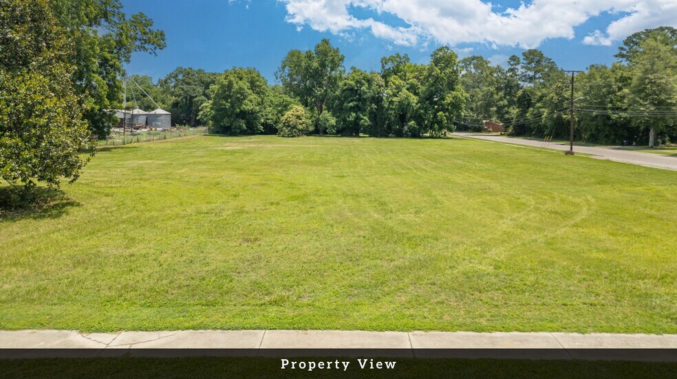 More Photos Of 1000 Peake St, Holly Hill Land For Sale