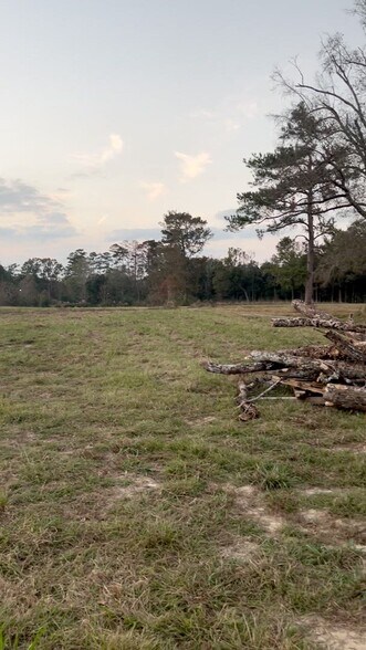 Primary Photo Of 13015 Grandview Dr, Denham Springs Land For Sale