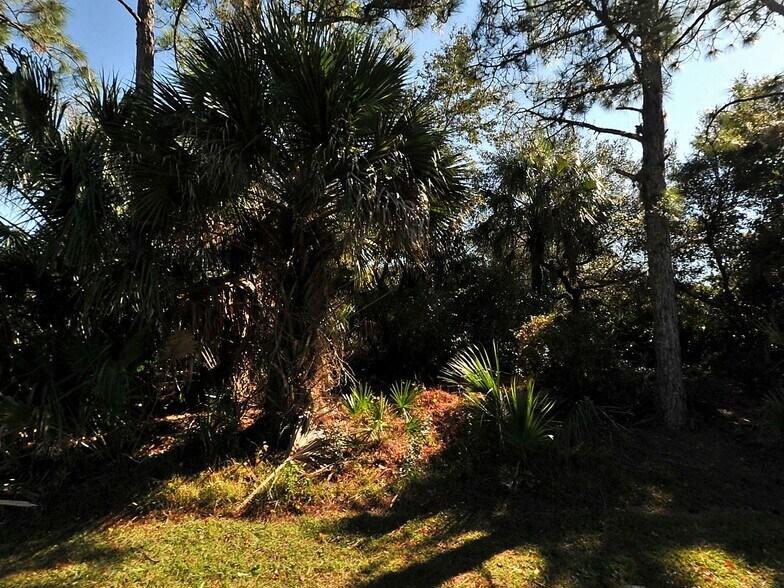 Primary Photo Of TORINO ST NORTH PORT FL 34287, North Port Land For Sale