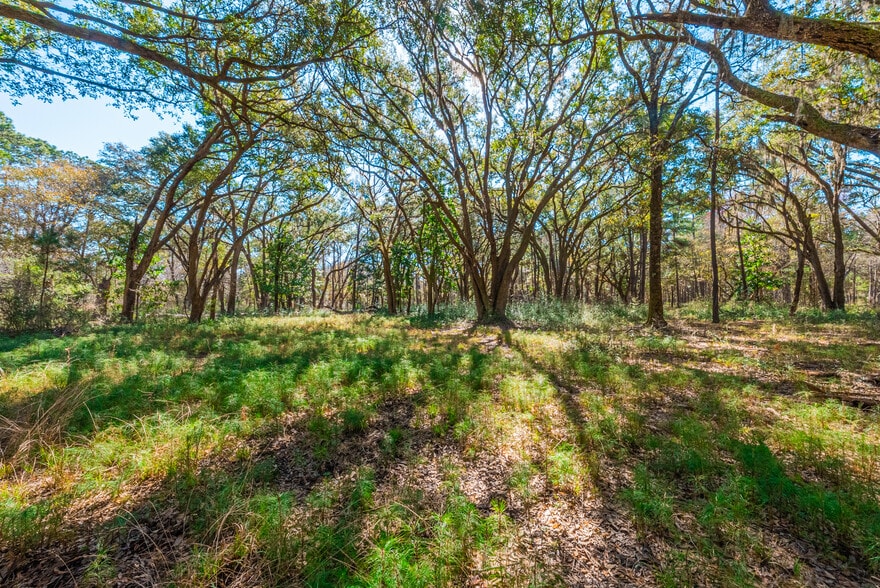More Photos Of 0 King Rail Lane, Edisto Island Land For Sale