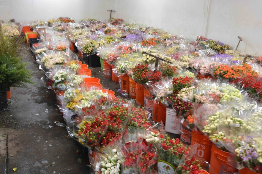 More Photos Of 133 Hughes Rd, Watsonville Land For Sale