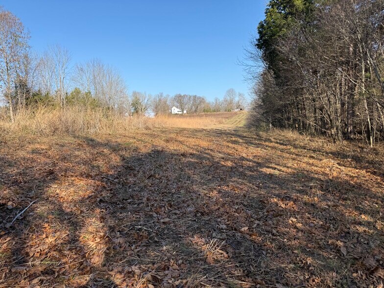 More Photos Of 4604 Summersville Rd, Campbellsville Land For Sale