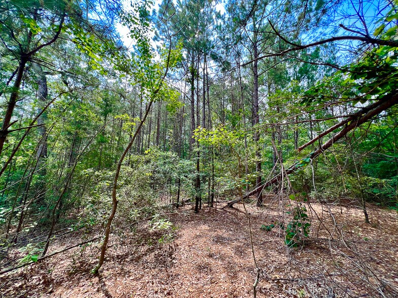 More Photos Of 2700 Ford Chapel, Lufkin Land For Sale