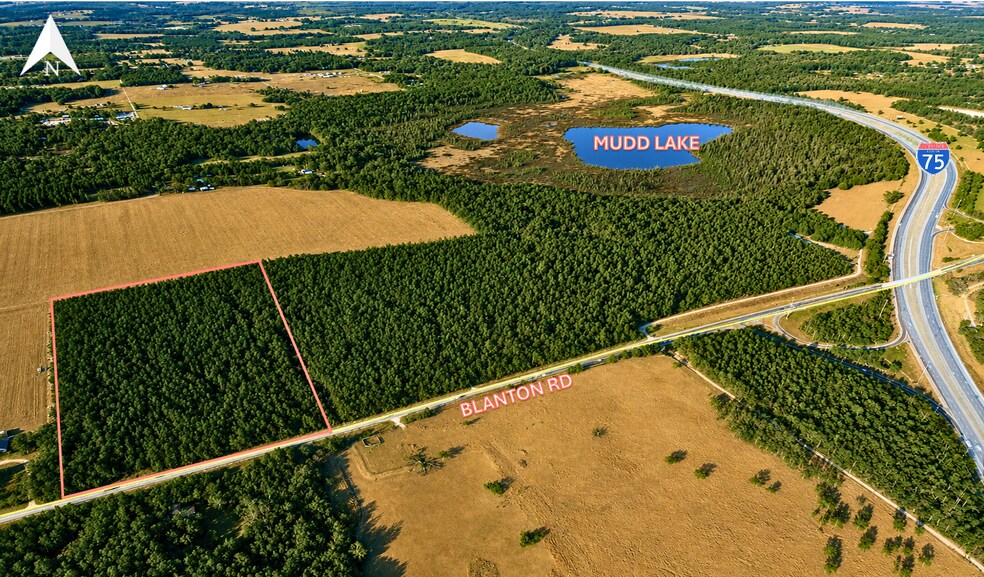 Primary Photo Of 31277 Blanton Road, Dade City Land For Sale