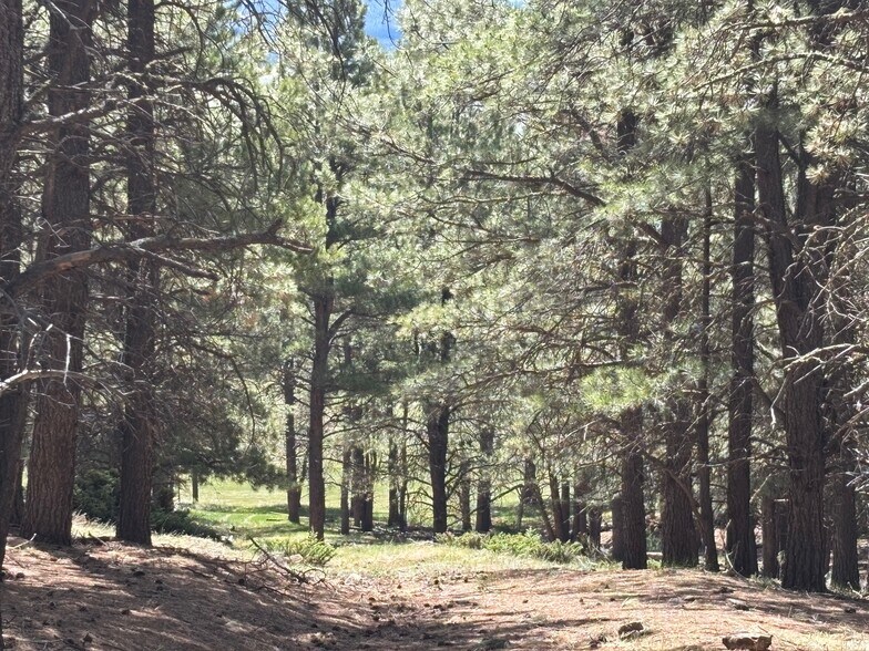 More Photos Of 27989 Highway 64, Eagle Nest Land For Sale