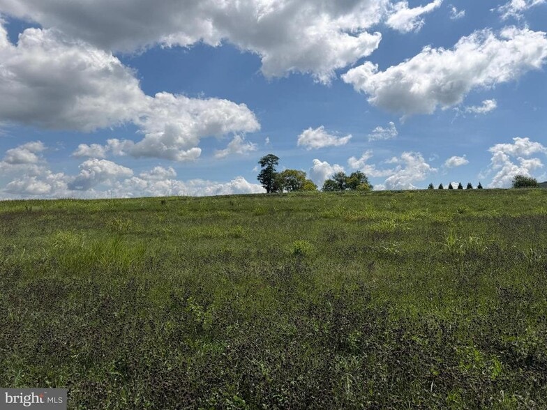 More Photos Of 14025 Bain Rd, Mercersburg Land For Sale
