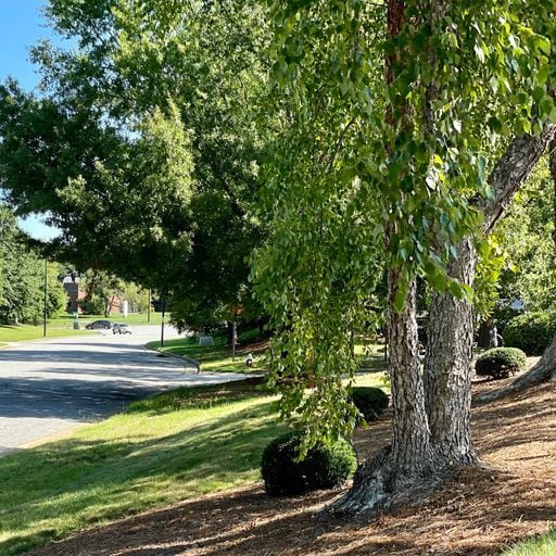 More Photos Of 4120 Beechwood Dr, Greensboro Light Distribution For Lease