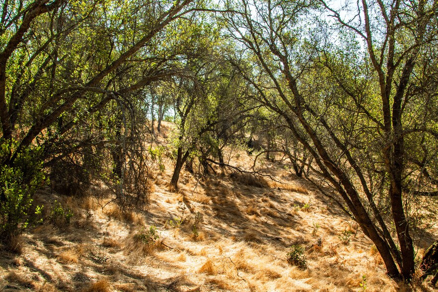More Photos Of 4471 Buena Vista Rd, Ione Land For Sale