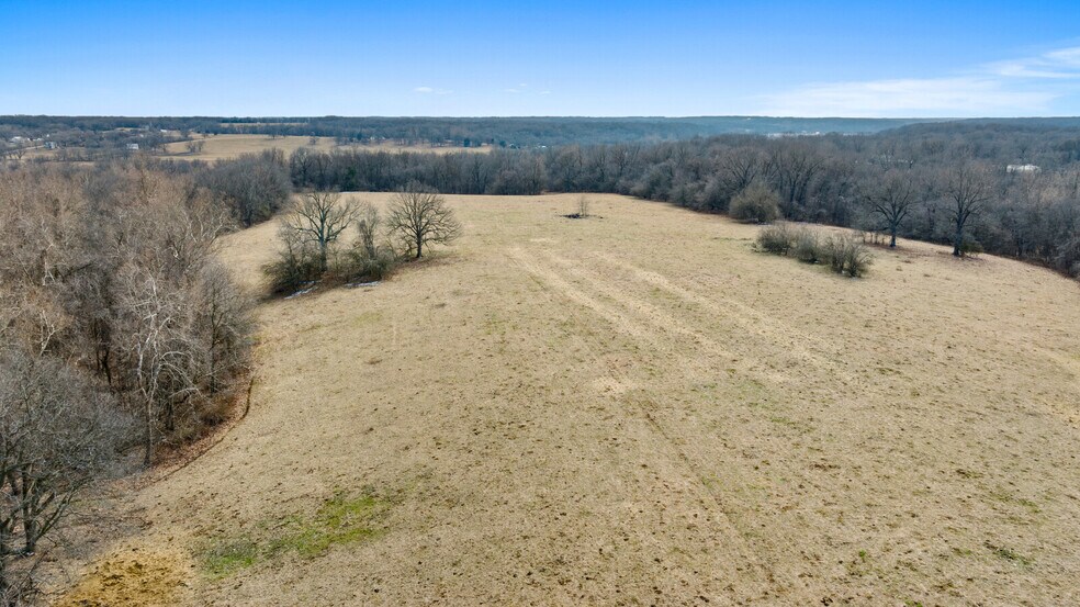 More Photos Of 17430 State HWY 0, Stark City Land For Sale