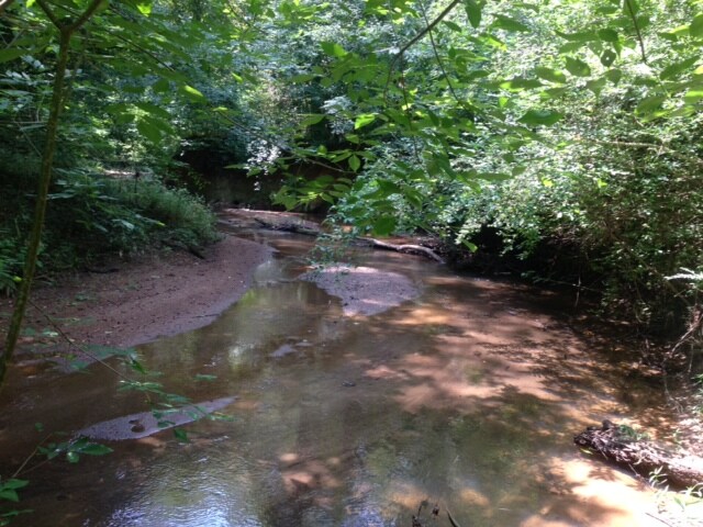 More Photos Of Alfred Ln, Newborn Land For Sale