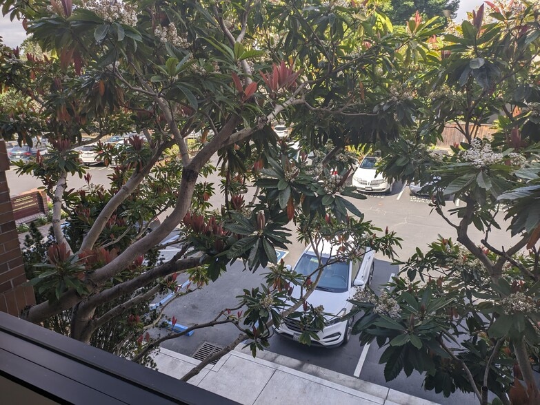 More Photos Of 133 Mission St, Santa Cruz Medical For Lease