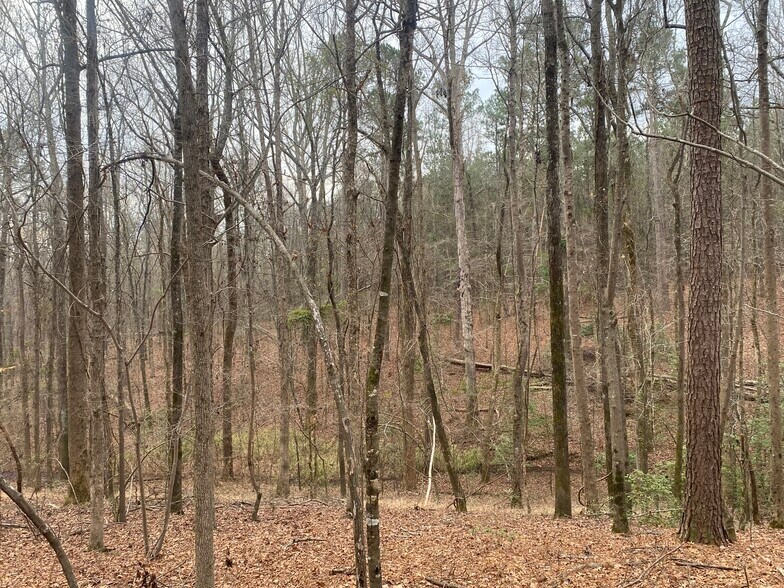 More Photos Of 140 Cora Dr, Columbia Land For Sale