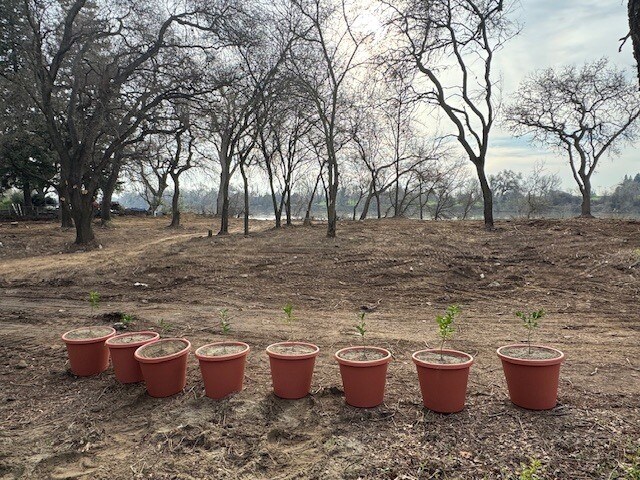 More Photos Of 1899 Garden Hwy, Sacramento Land For Sale