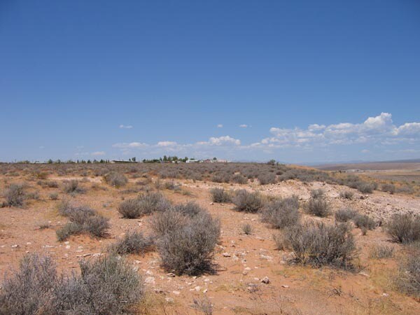 More Photos Of 590 N Virgin Acres Blvd, Littlefield Land For Sale