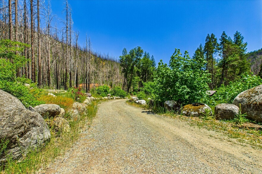 More Photos Of 2103 Coffee Creek Rd, Trinity Center Land For Sale