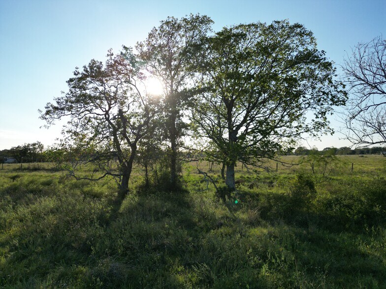More Photos Of Land (County Rd 220 Angleton, TX 77515) | 197 acres, Angleton Land For Sale