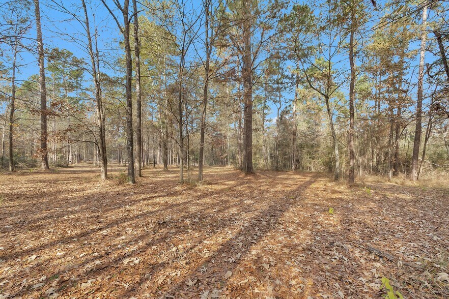 More Photos Of 215 FM 2929 Rd, Huntsville Land For Sale