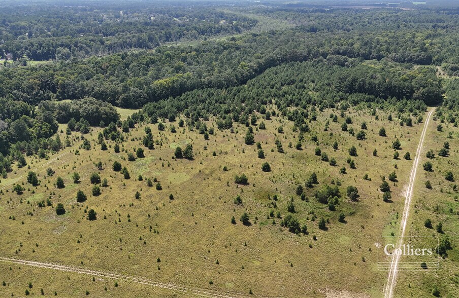 More Photos Of S Ebenezer Rd, Florence Land For Sale