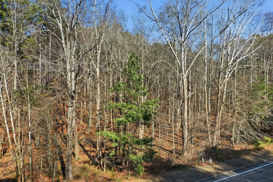More Photos Of 1600 Sixes Road, Canton Land For Sale