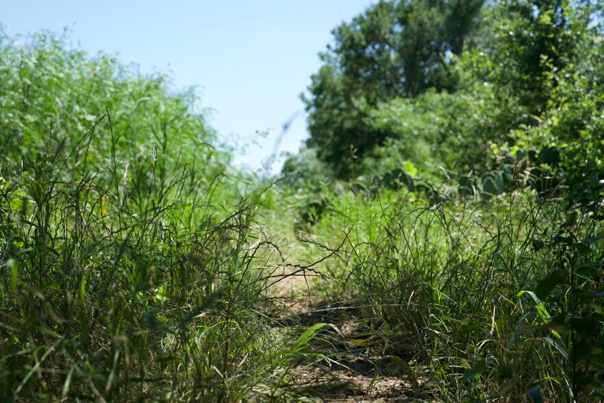 More Photos Of 00 Taylorsville Rd, Red Rock Land For Sale