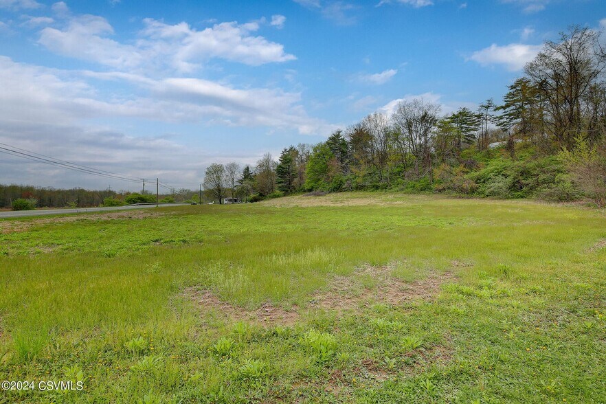 More Photos Of 242 Snyder Ln, Millmont Land For Sale