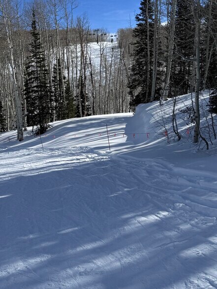 More Photos Of Parcels Logan lot 724 - U.P. No.2 lot 724 @ Red Cloud Rd., Park City Land For Sale