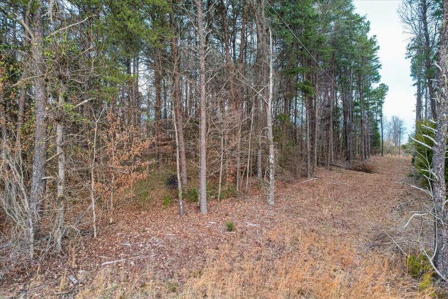 More Photos Of 9087 Hwy 58 Hwy 58, Harrison Land For Sale