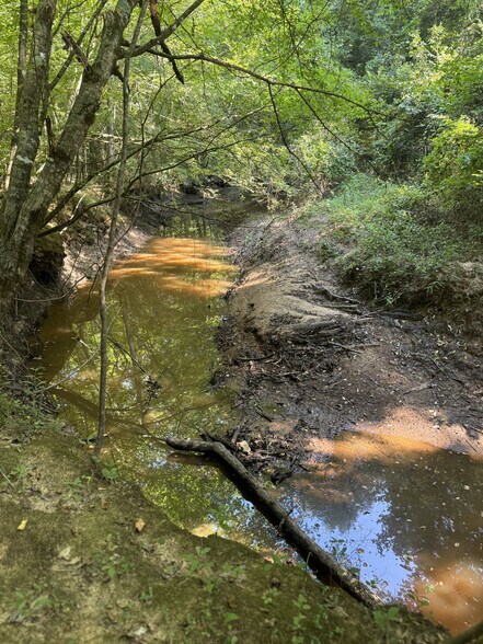 More Photos Of 236 Cooper Rd, Homer Land For Sale