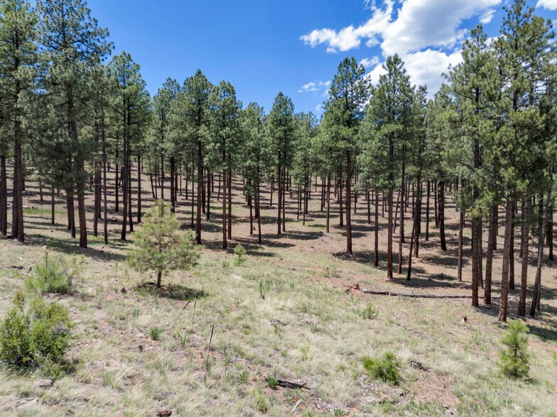 More Photos Of 2251 Kramer St, Flagstaff Land For Sale