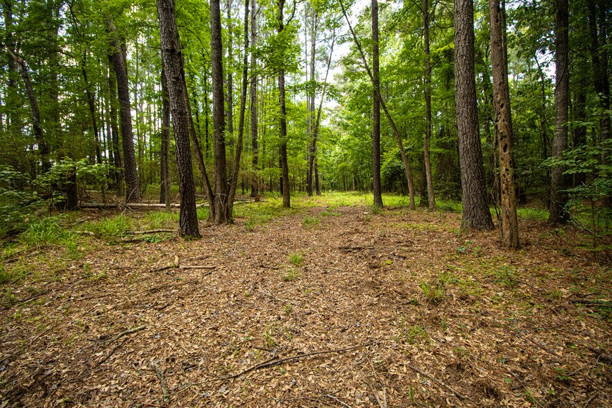 More Photos Of 6817 TX-42, Kilgore Land For Sale
