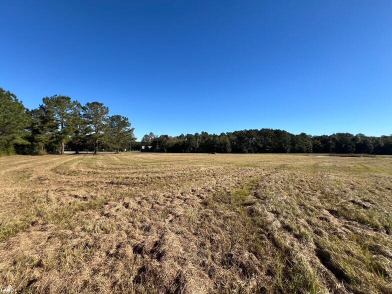 More Photos Of 0 Tallahassee Highway, Attapulgus Land For Sale