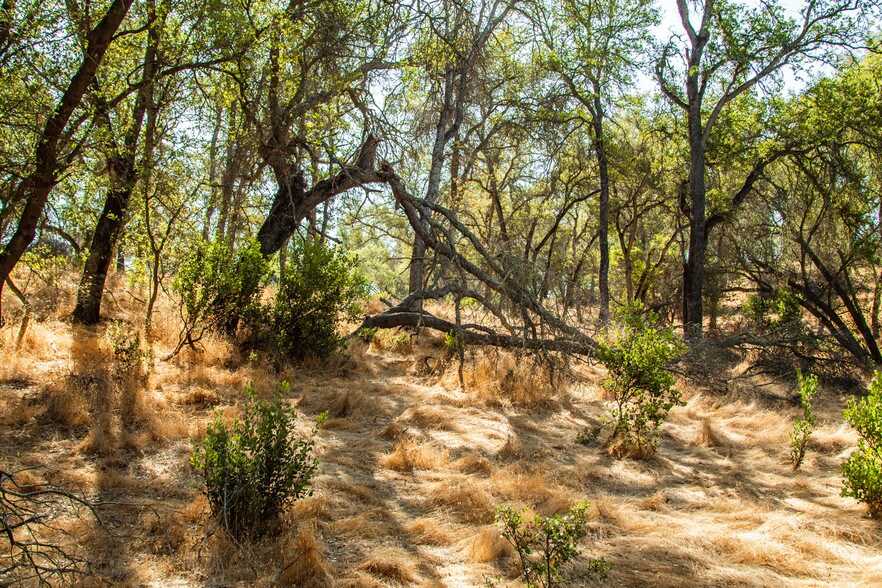 More Photos Of 4471 Buena Vista Rd, Ione Land For Sale