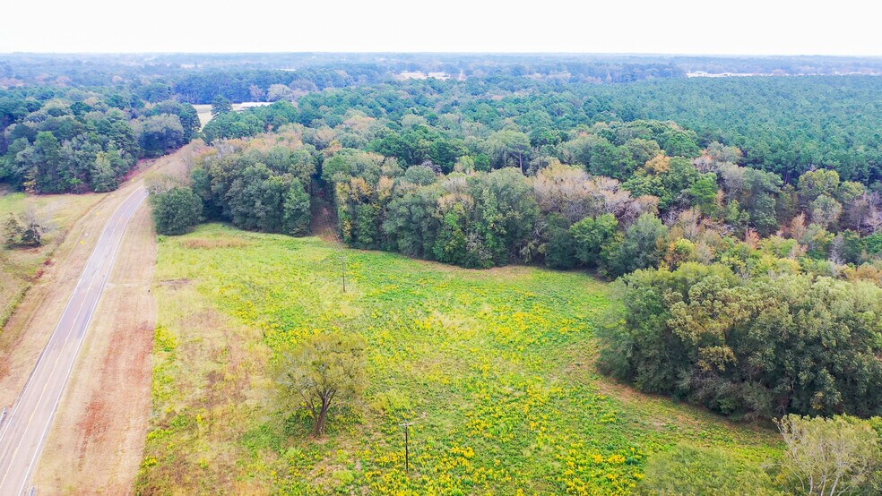 More Photos Of 5015 FM 561, Simms Land For Sale