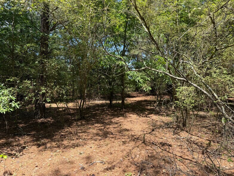 More Photos Of 1593 Old Alabama rd, Taylorsville Land For Sale