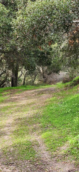More Photos Of Salinas Road Hwy, San Juan Bautista Land For Sale
