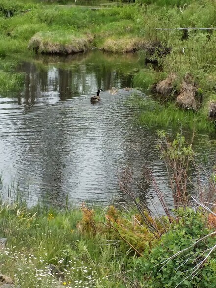 More Photos Of Jack Creek Road, Saratoga Land For Sale