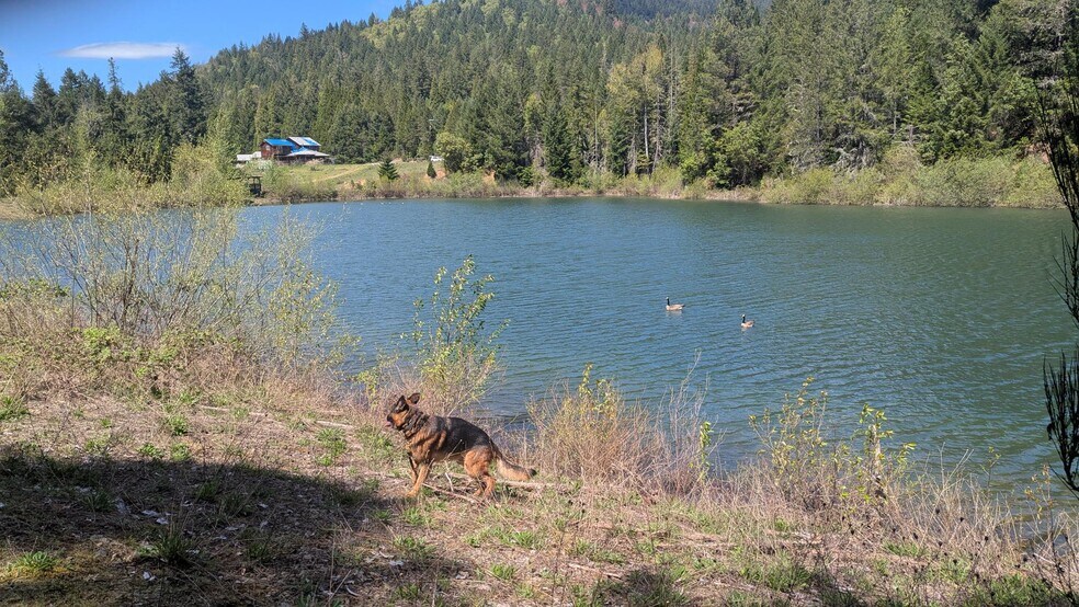 More Photos Of 2999 Speaker Rd, Wolf Creek Land For Sale