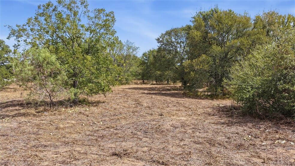 More Photos Of TBD HWY 304, Bastrop Land For Sale