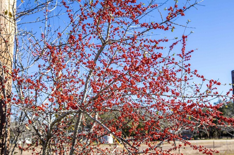 More Photos Of 19 Old Fredericksburg Rd, Boerne Land For Sale