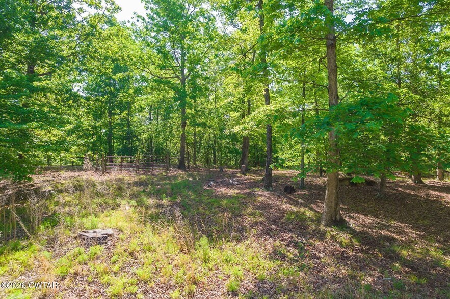 More Photos Of 9402 Brooksie Thompson Rd, Bath Springs Land For Sale