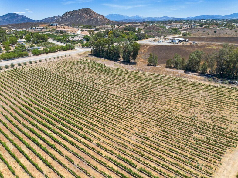 More Photos Of 36051 E Benton Rd, Temecula Winery Vineyard For Sale